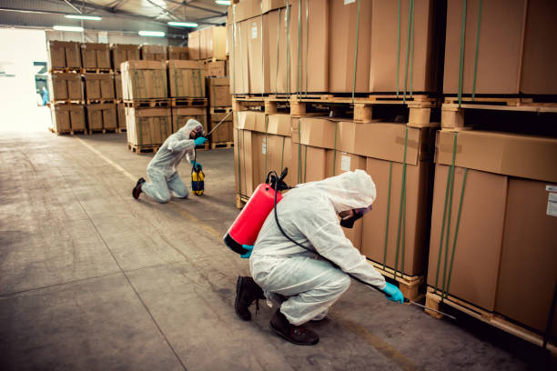 Best Bed Bug Extermination  in Signal Mountain, TN