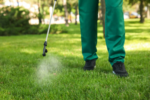 Best Pest Removal Services  in Signal Mountain, TN