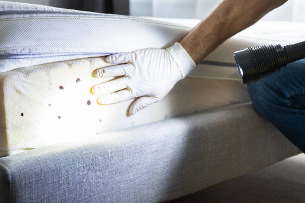  Signal Mountain, TN Pest Control Pros