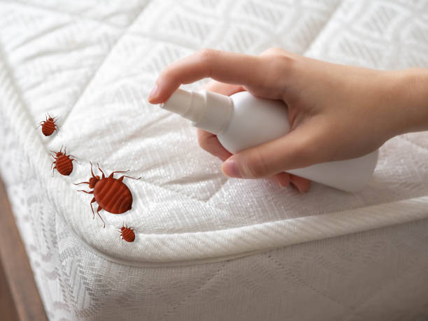 Best Commercial Pest Control Services  in Signal Mountain, TN