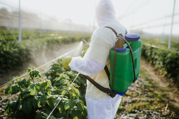 Best Insect Control  in Signal Mountain, TN